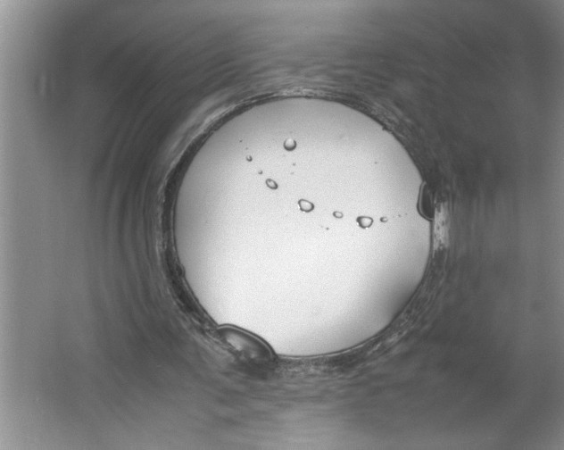 X0000064730291200603031649