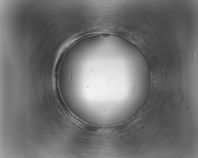 X0000064730294200603031649