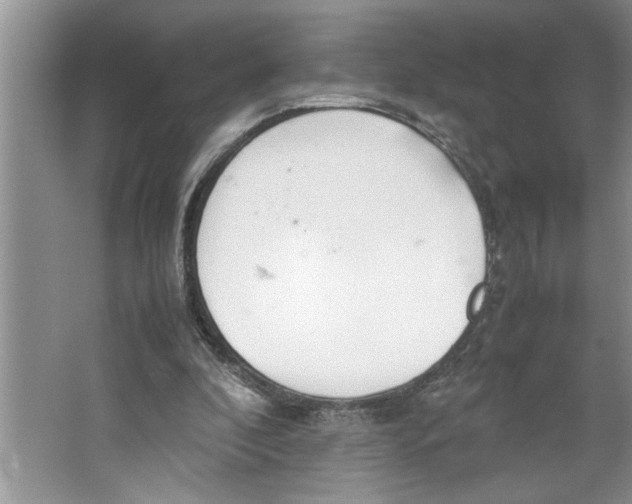 X0000064730296200603031649