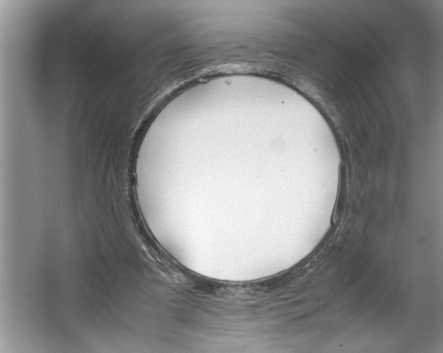 X0000064730297200603031648