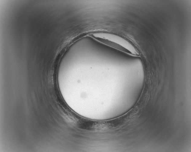 X0000064730299200603031648