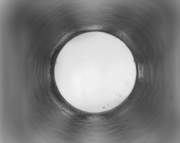 X0000064730300200603031648