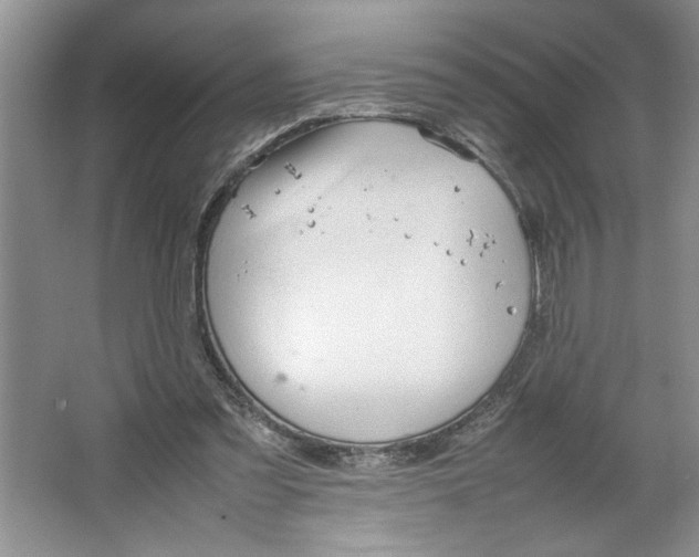 X0000064730301200603031648