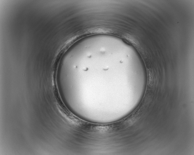 X0000064730302200603031648