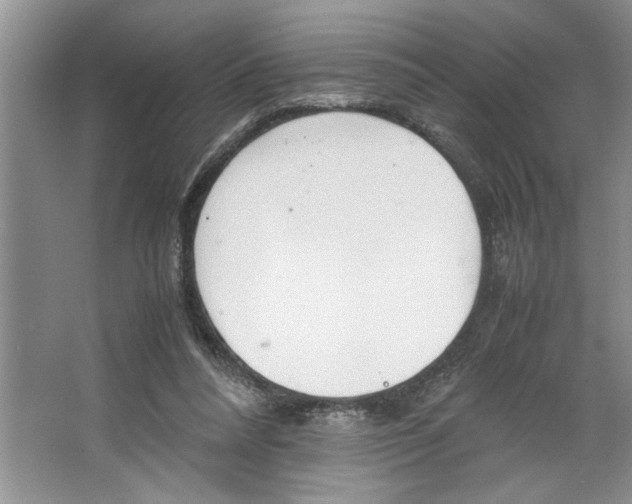 X0000064730304200603031648