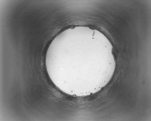 X0000064730305200603031648