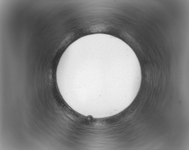 X0000064730308200603031648