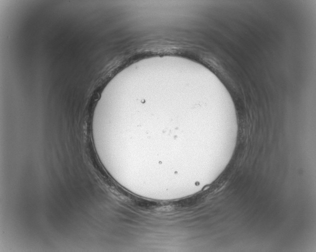 X0000064730309200603031648