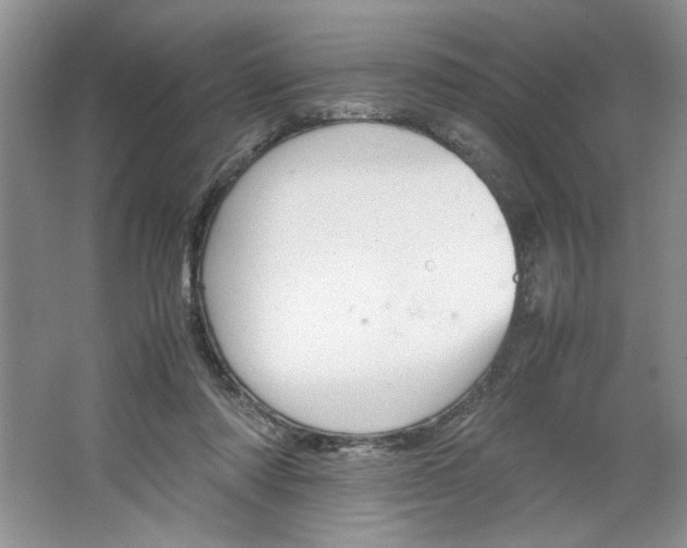 X0000064730310200603031648