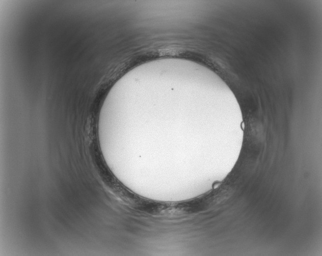 X0000064730311200603031648