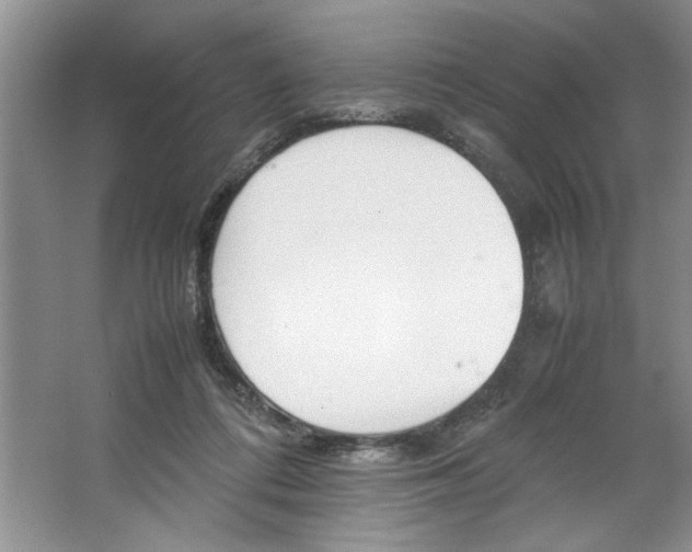 X0000064730312200603031648