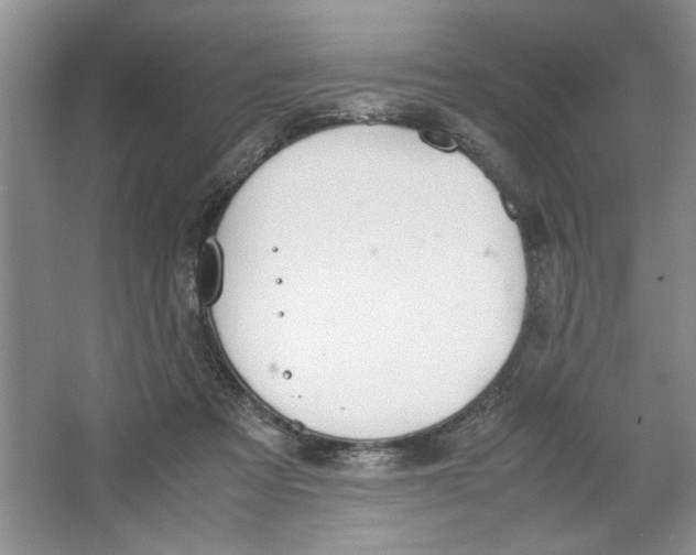 X0000064730313200603031648