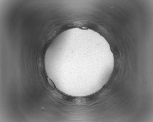 X0000064730317200603031648