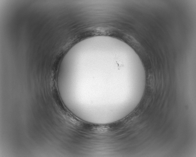 X0000064730318200603031648