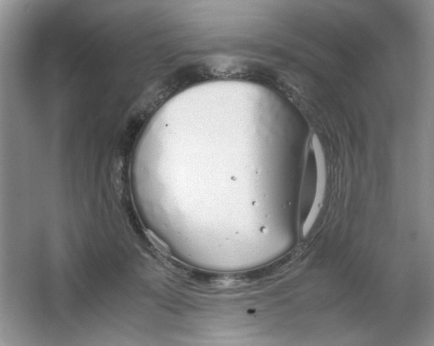 X0000064730319200603031648