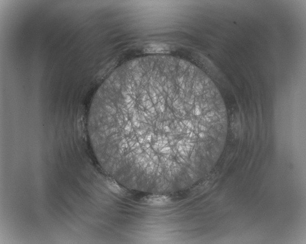 X0000064730322200603031648