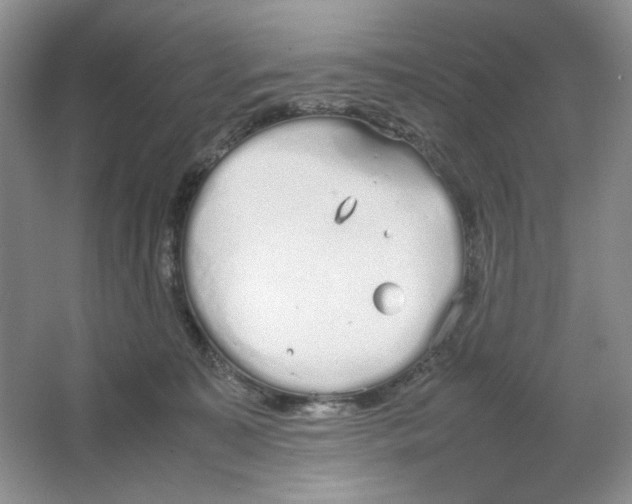 X0000064730323200603031648