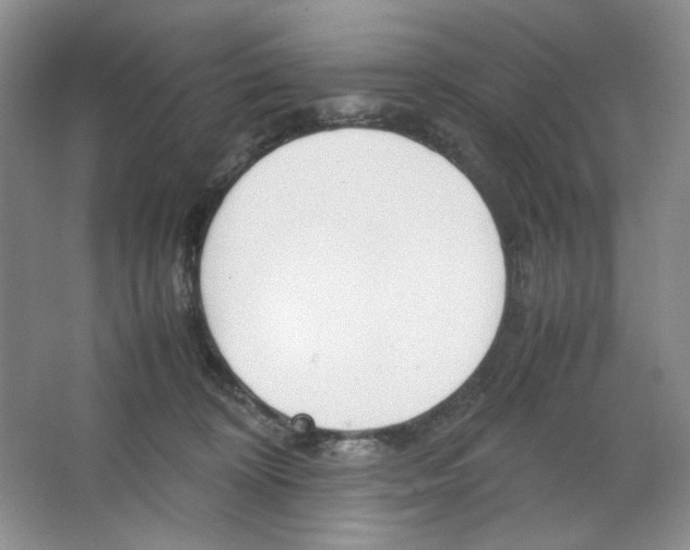 X0000064730324200603031648