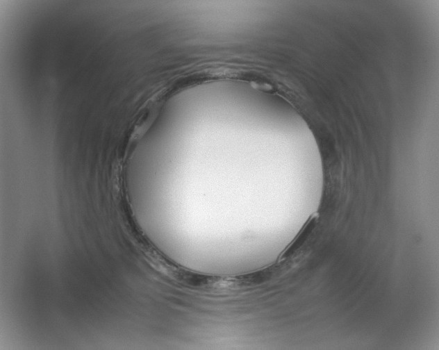 X0000064730325200603031648