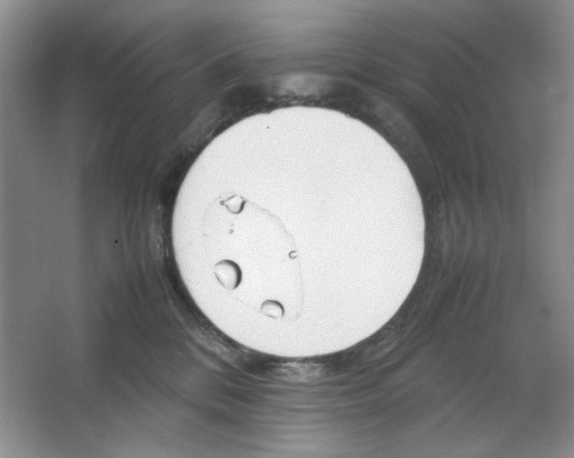 X0000064730328200603031648