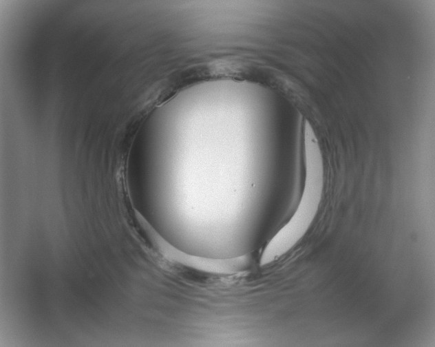 X0000064730329200603031648