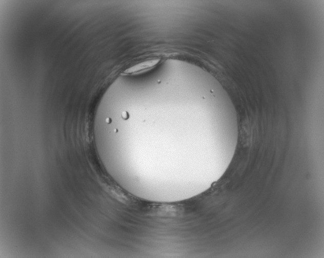 X0000064730330200603031648