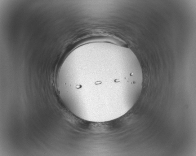 X0000064730331200603031648