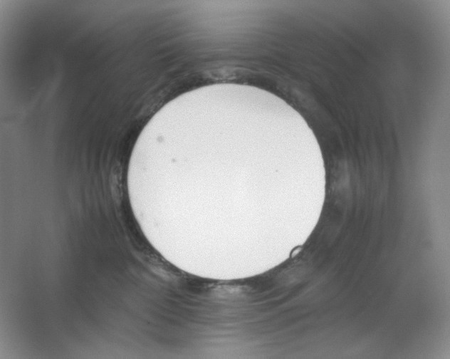 X0000064730332200603031648