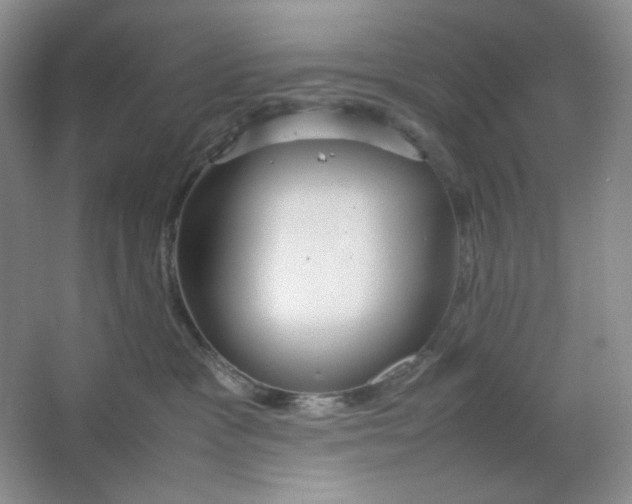 X0000064730333200603031648