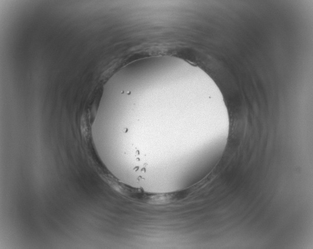 X0000064730335200603031648