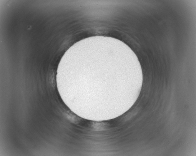 X0000064730336200603031648