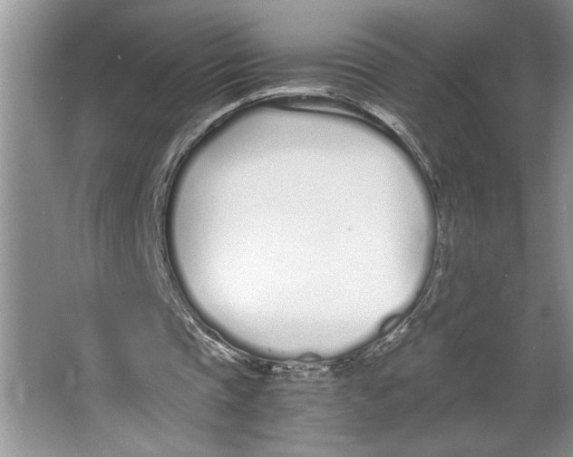 X0000064730337200603031647