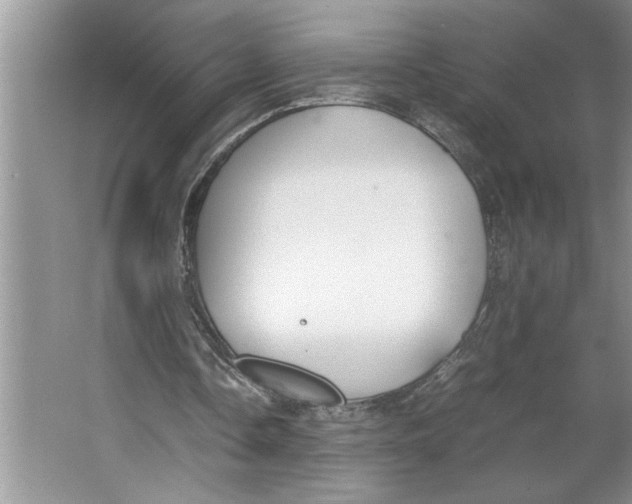 X0000064730338200603031647