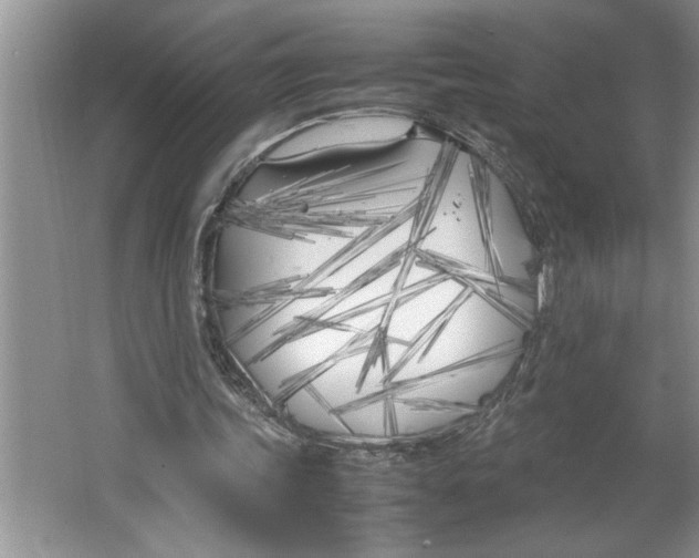 X0000064730339200603031647