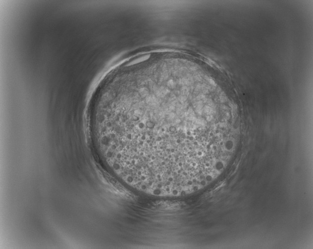 X0000064730343200603031647