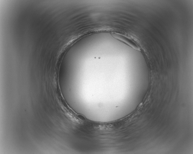 X0000064730345200603031647