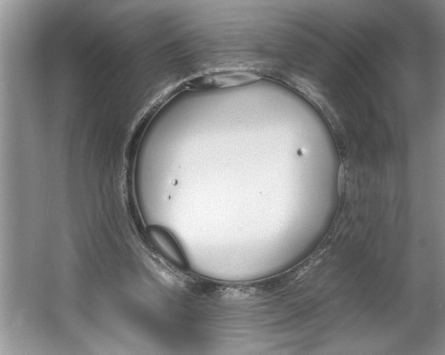 X0000064730346200603031647