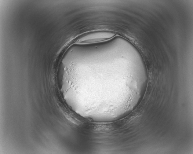 X0000064730347200603031647