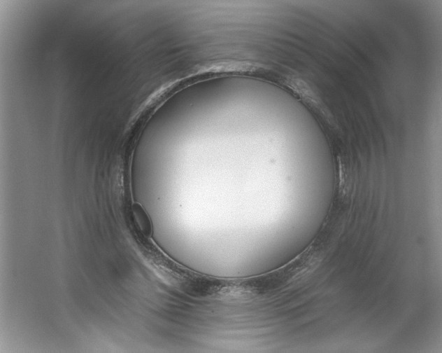 X0000064730348200603031647