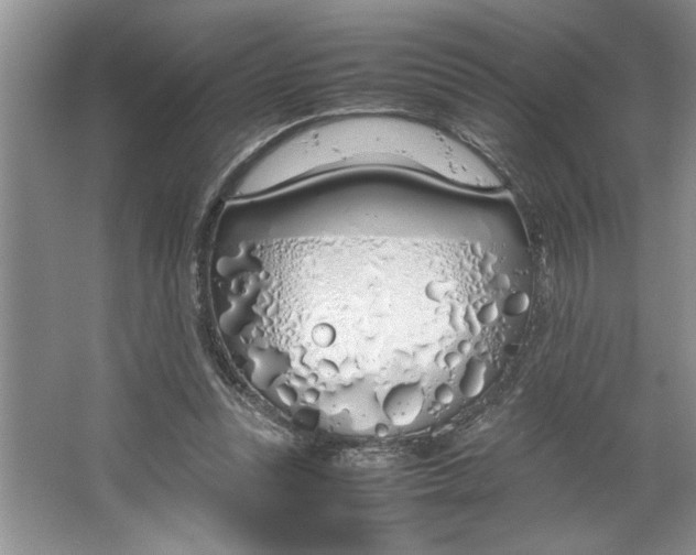 X0000064730351200603031647