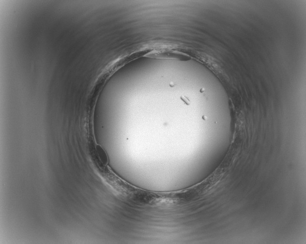 X0000064730352200603031647