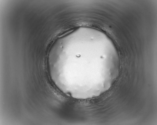 X0000064730353200603031647