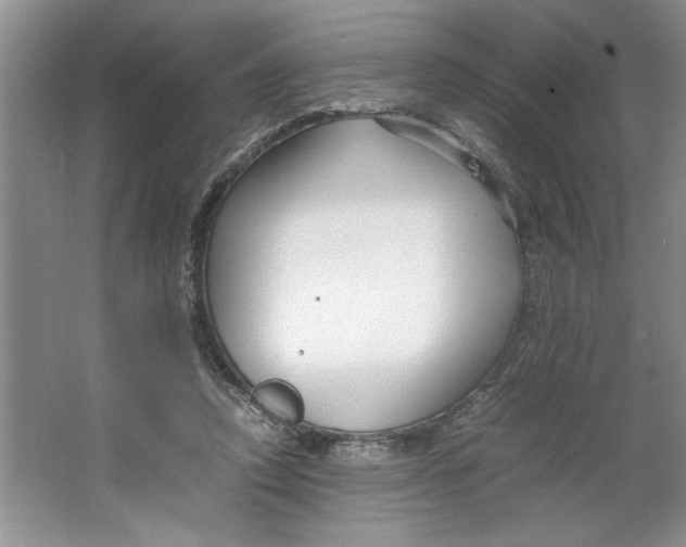 X0000064730354200603031647