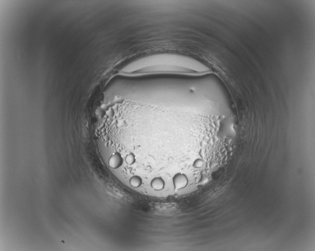 X0000064730355200603031647