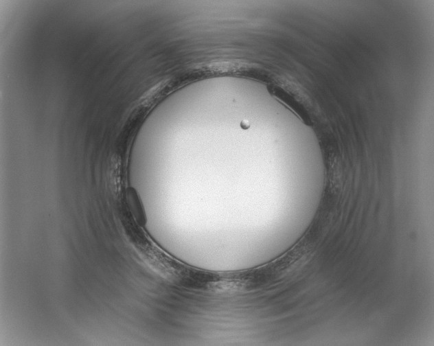 X0000064730356200603031647