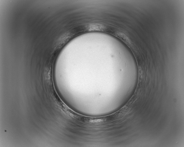 X0000064730357200603031647