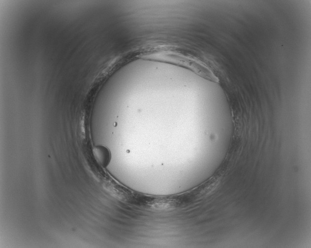 X0000064730358200603031647