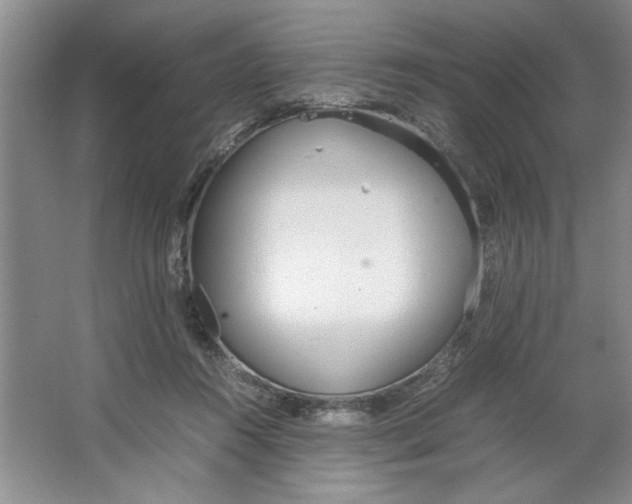 X0000064730360200603031647