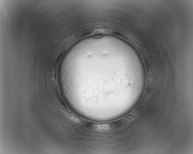 X0000064730361200603031647