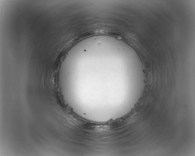 X0000064730363200603031647